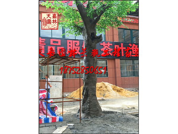 徐州魏集村農(nóng)貿(mào)市場門口假樹假山