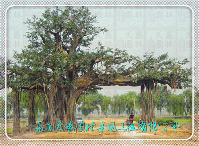 天嘉園林（假樹(shù)）