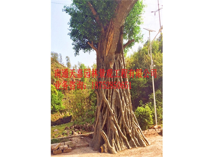 天嘉園林（假樹(shù)）